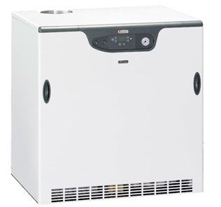 Котел Чугунный газовый GASTER N 107 AW