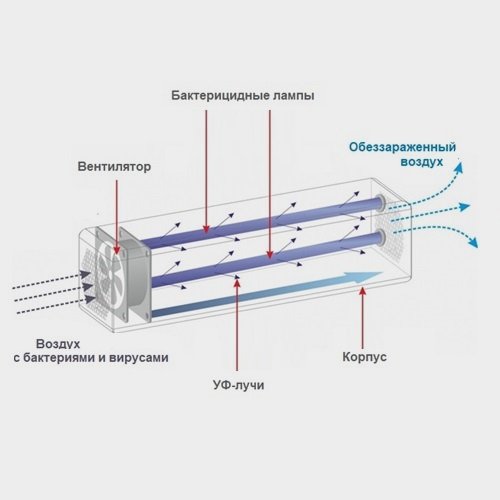 Принцип работы обеззараживателя